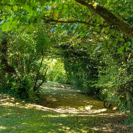 Des Trois Massifs Hotell