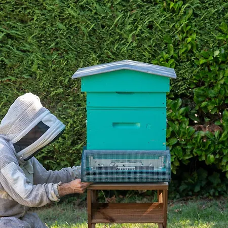 Des Trois Massifs Hotell